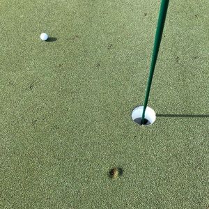 Meet your Posher, Joseph